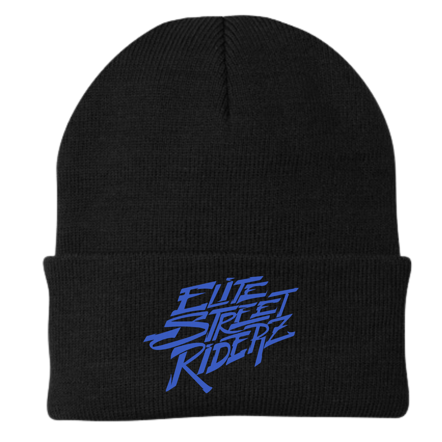 ESR Embroidery Beanie